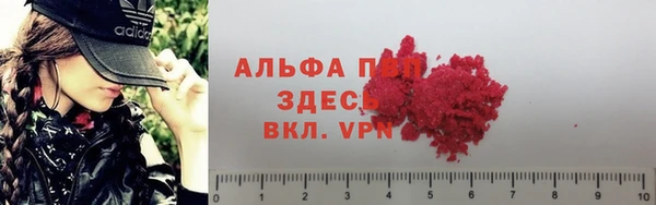 ешки Абаза
