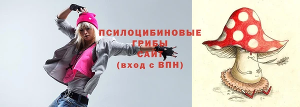 гашик Абинск