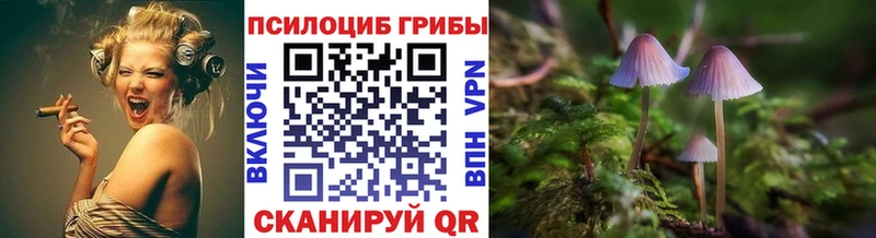 Галлюциногенные грибы мухоморы  Моршанск 